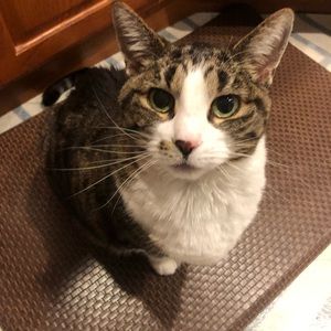 Meet your Posher, Jess